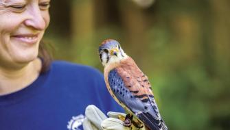 Glen Helen Raptor Center handler with small raptor