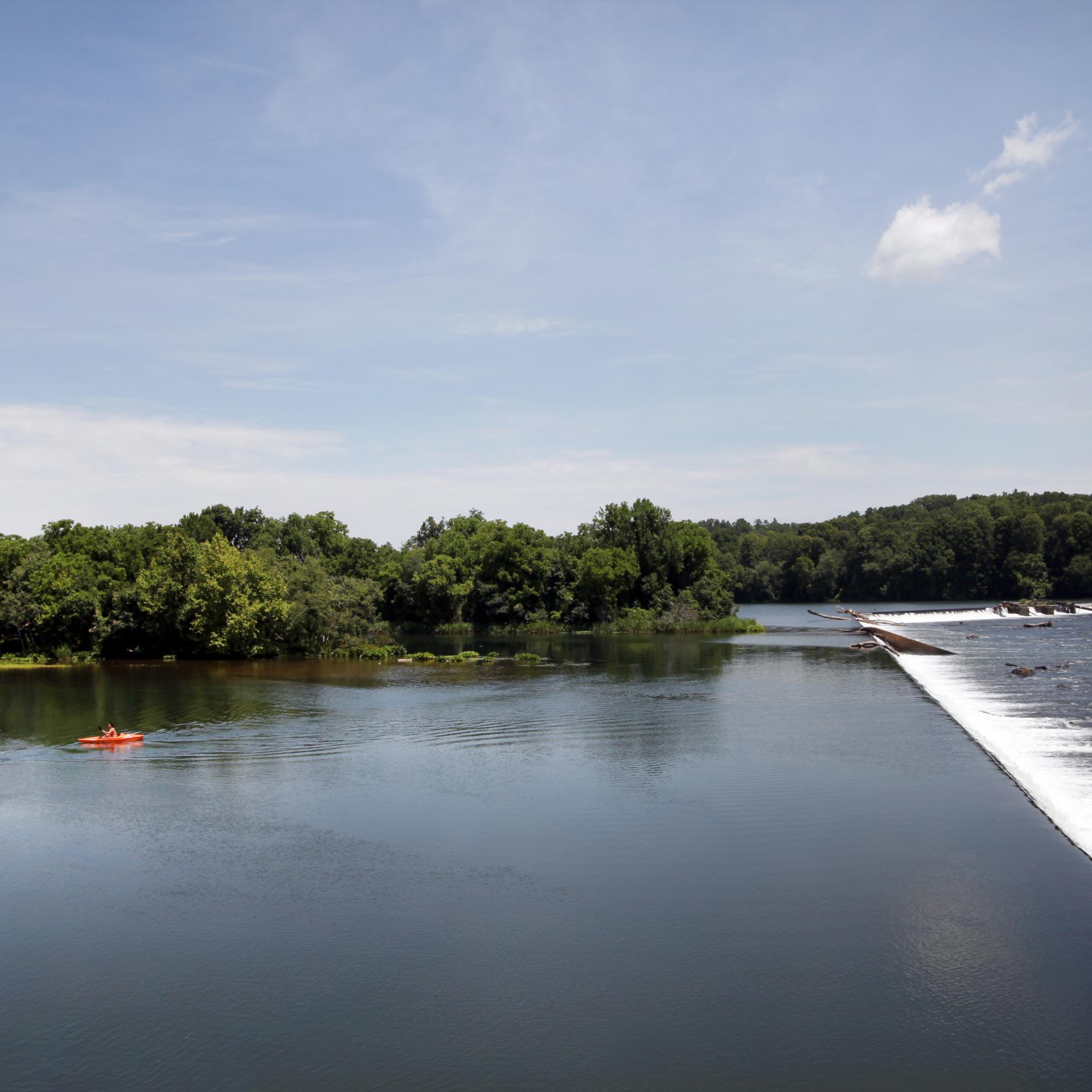 Landscape of Savannah River