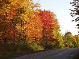 Leelanau-fall-4