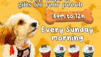 Coffee & Canines