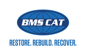 BMS Cat logo