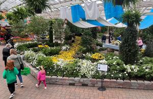 Hicks Nurseries Flower Show