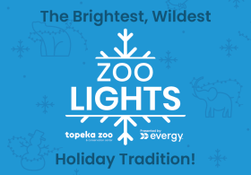 Zoo Lights Presented By Evergy