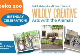 Wildly Creative- Arts With The Animals