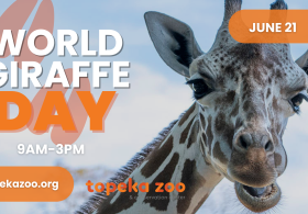 World Giraffe Day