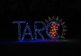 Winter Wonderland, A Celebration of Lights, Benefitting TARC