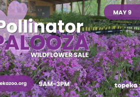 Pollinator Palooza