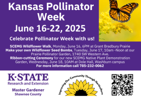 Kansas Pollinator Week - Wildflower Walk