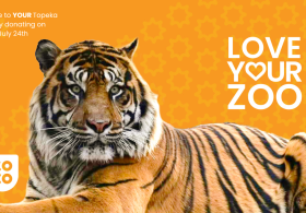 Love Your Zoo Giving Day
