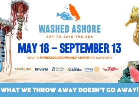 Washed Ashore
