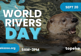 World Rivers Day