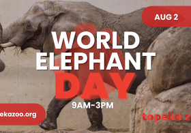 World Elephant Day