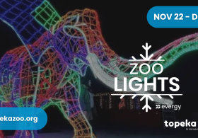 Zoo Lights Presented by Evergy