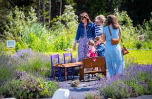 Farmstead 1868 Lavender Festival - Family Fun
