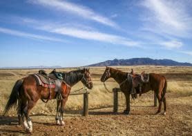 Sonoita Ranch