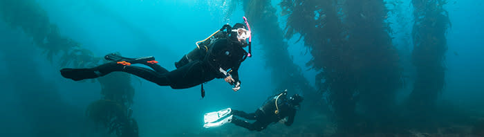 scuba