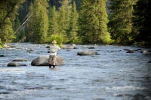 Fly Fishing On The Gallatin | 320 Ranch Photo