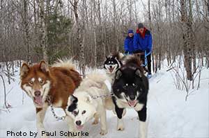 dogsledding