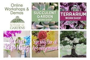 Botanical Gardens Workshops & Demos