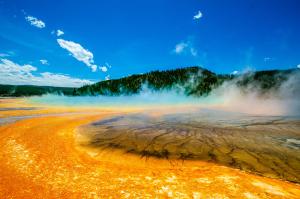 Steam rises off the colorful waters of Grand Prismatic Spring in Yellowstone National Park