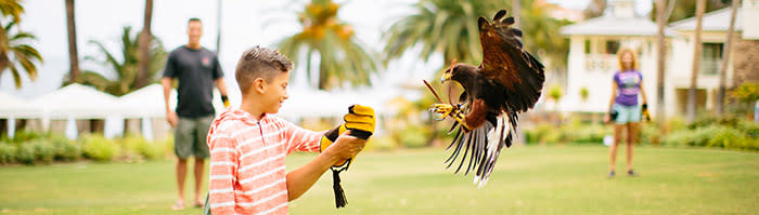 falconry crop