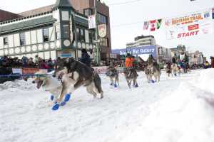 Iditarod sled dog race start in Anchorage