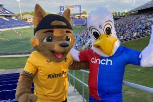 the mascost for two soccer teams stand side-by-side in a stadium