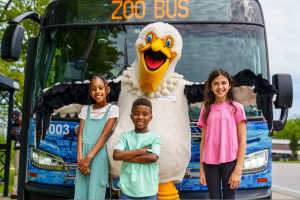 Children and bird mascot standing in front of COTA Zoo Bus
