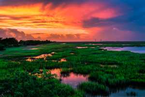 Golden Isles Georgia Covid 19 Travel Updates