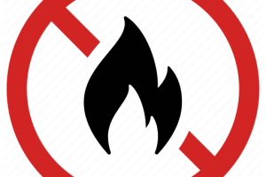 Fire Ban- simple logo