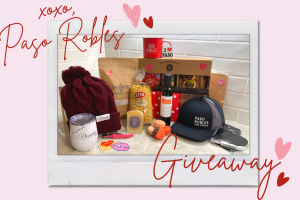 V Day Instagram Giveaway