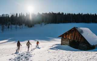 Snowshoeing all Winter