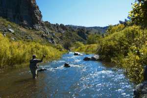 Fly Fishing in the Poudre River