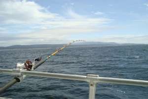 Deep Sea Fishing Rod
