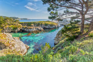 Point Lobos | Carmel CA