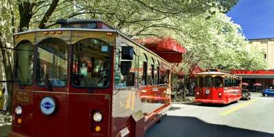 Grayline Asheville Trolley Tours