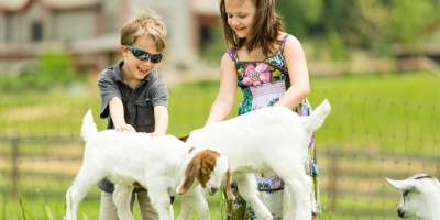 Children with Goats