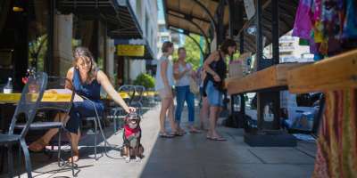 Pet Friendly Dining at the Grove Arcade