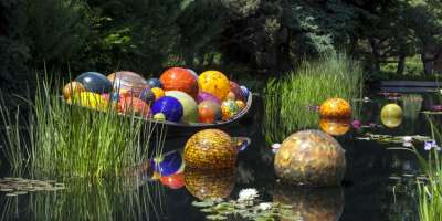 Chihuly Installation