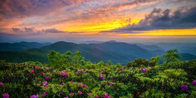 Sun setting over mountain vista with catawba rhodoendrons blooming in foreground