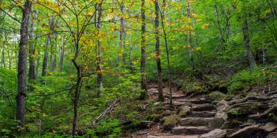 The trail to Skinny Dip Falls near Asheville, NC