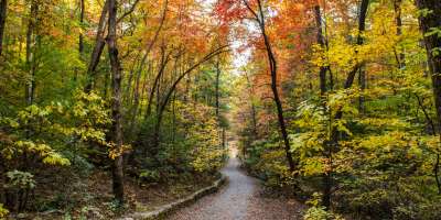 2018 Fall Color North Carolina Arboretum Oct. 31