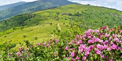 Roan Mountain