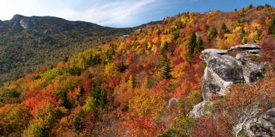 A vibrant array of colors at Rough Ridge with Grandfather Mountain seen behind