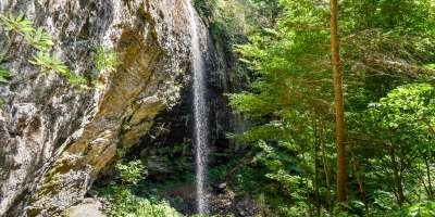 Douglas Falls in Big Ivy in Barnardsville