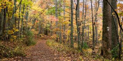 Hard Times Loop Trail Fall Color