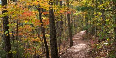 Bent Creek Trail at the NC Arboretum