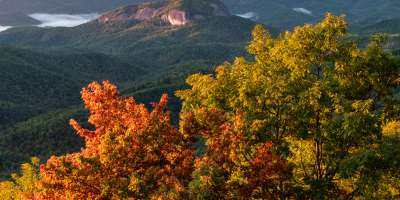 Early fall color develops at Pounding Mill Overlook near Mount Pisgah and Asheville, NC on the Blue Ridge Parkway.