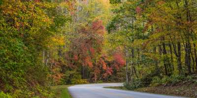 Blue Ridge Parkway near Chestnut Cove Fall 2017