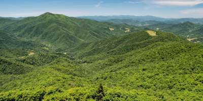 Frying Pan Mountain Lookout Tower Hike